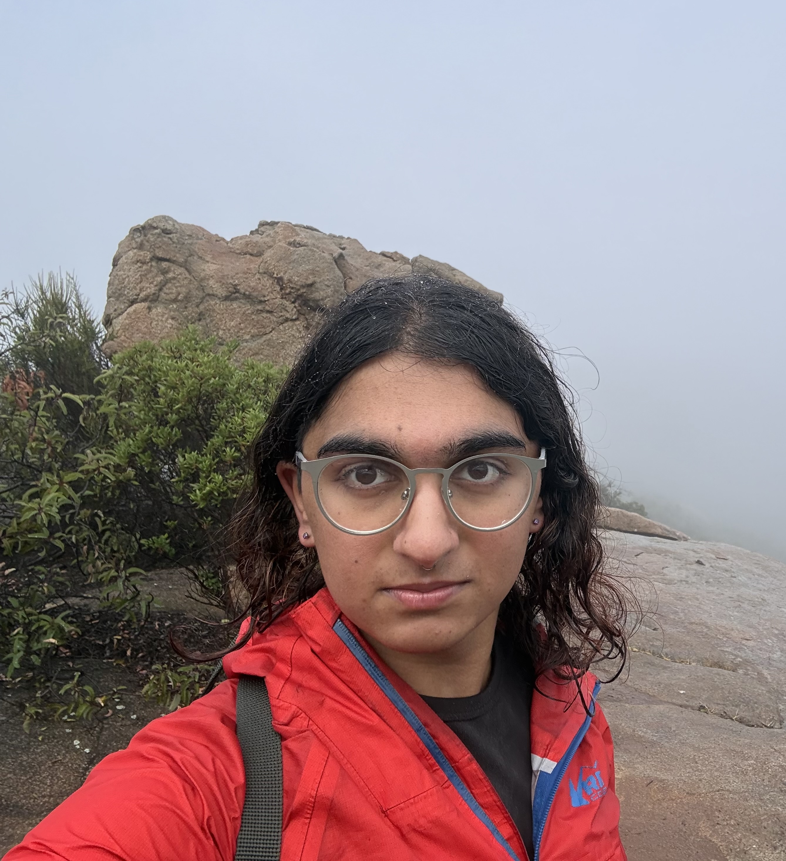 Adi Sriram